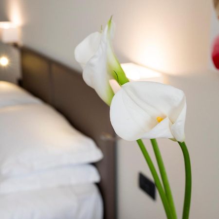 Hotel Plaza ซานมาร์ติโนซิกโคมาริโอ ภายนอก รูปภาพ